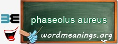 WordMeaning blackboard for phaseolus aureus